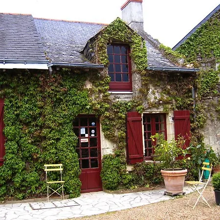 Bed & Breakfast La Poiriere Chemellier